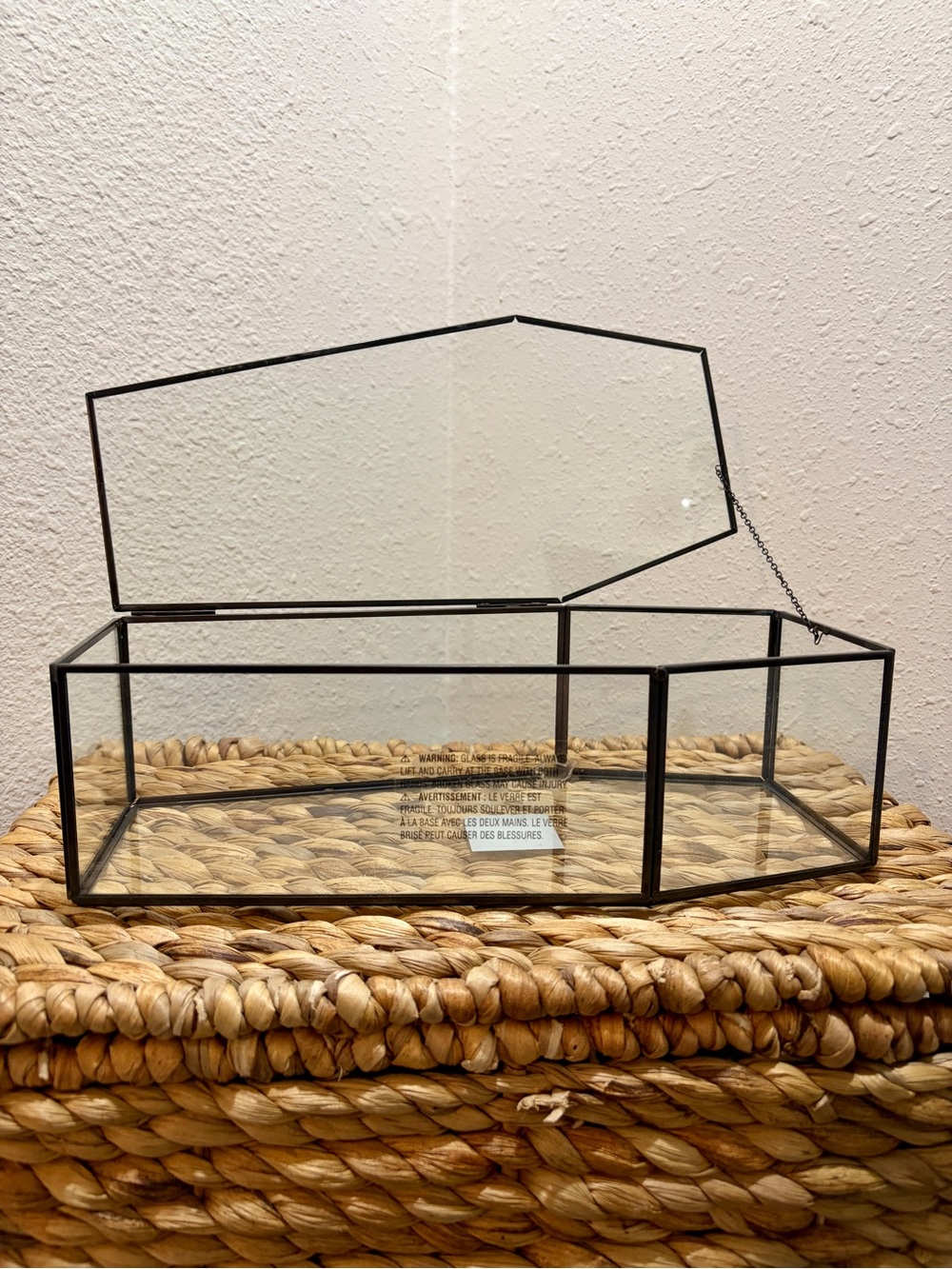 Ashland Gothic Halloween Large Glass Coffin Terrarium - Picture 2 of 6